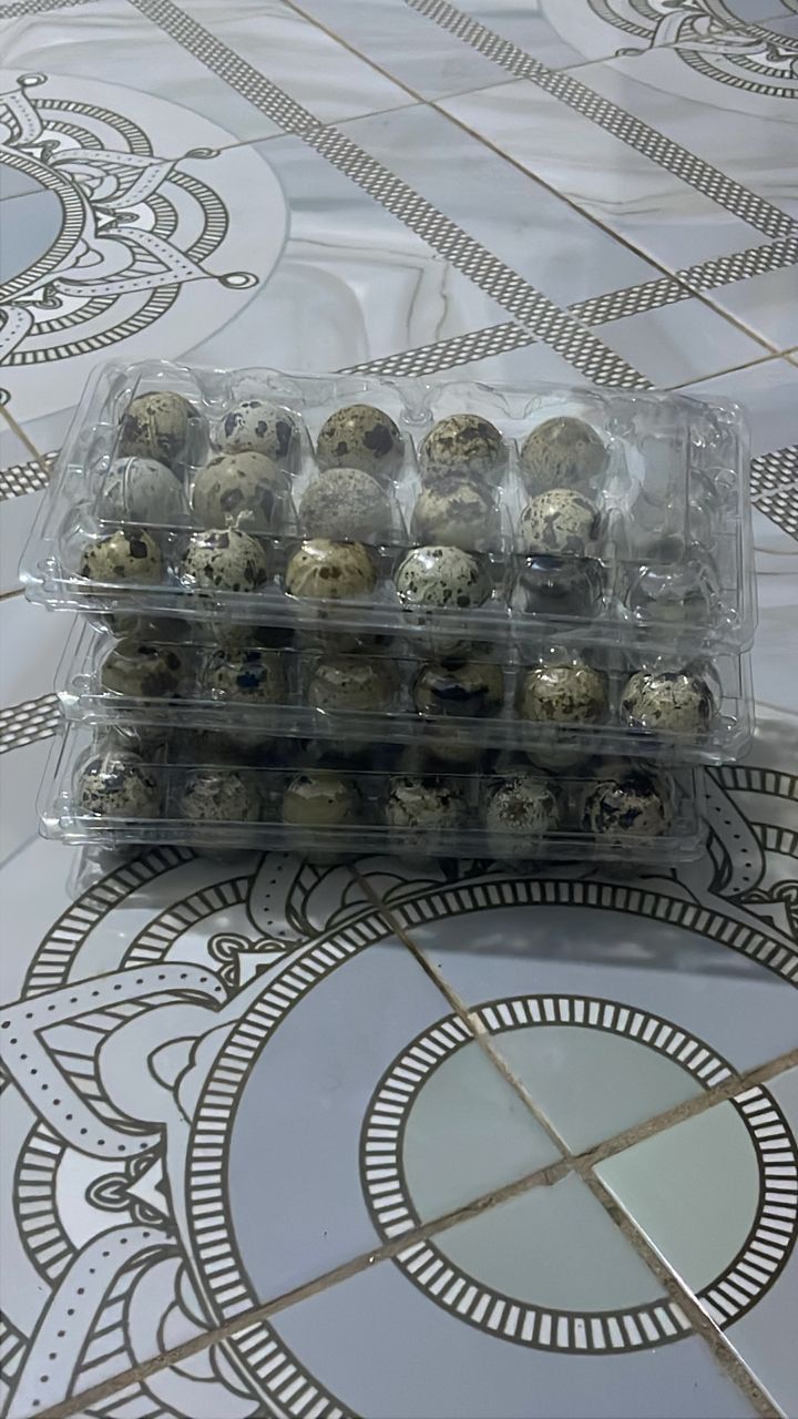 Quail eggs for sale