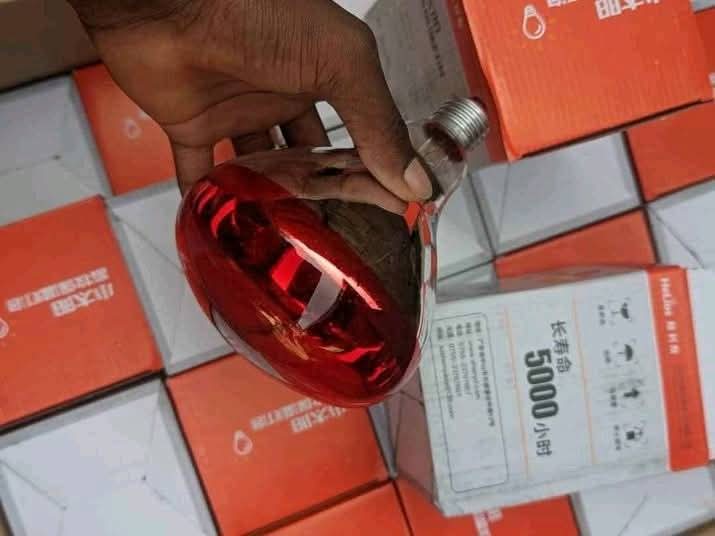 Infrared heating bulb