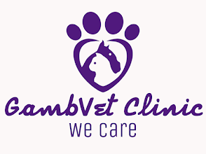 GambVet Veterinary Clinic